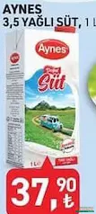 AYNES SÜT 1 L fiyat ve kampanya bilgisi